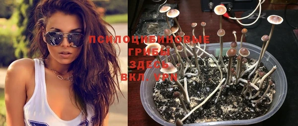 кокаин колумбия Заводоуковск