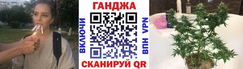 Бошки Шишки THC 21% Грязовец